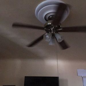 Meet your Posher, Irma